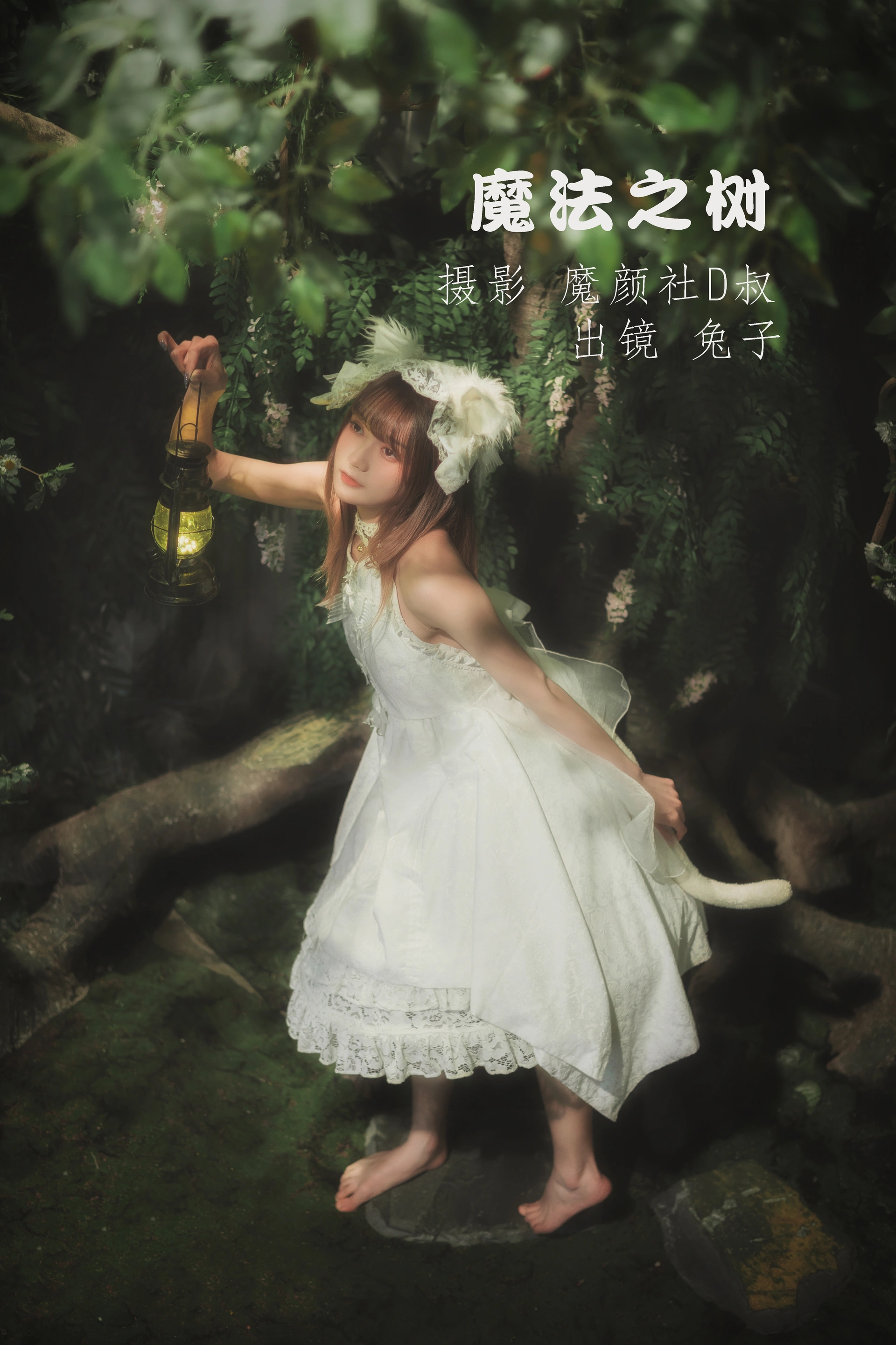 兔子Zzz不吃胡萝卜 - NO.12 魔法之树 1